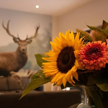 Woudstee Appartement