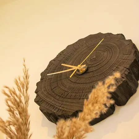 Daire Woudstee Vierhouten