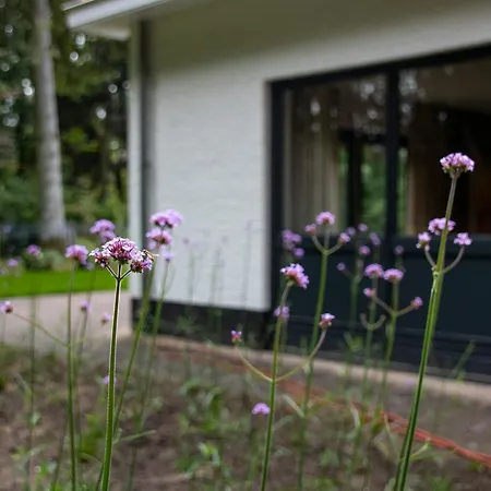 Apartment Woudstee Vierhouten