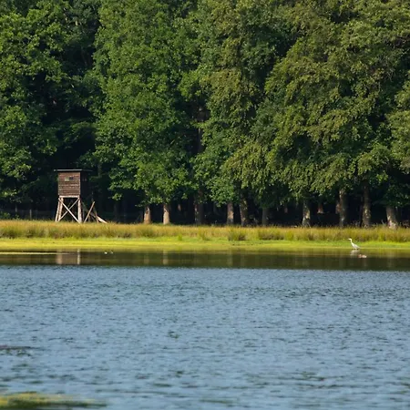 Woudstee Appartement