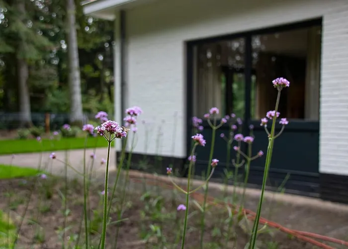 Apartamento Woudstee Vierhouten