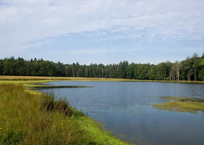 Woudstee Apartamento