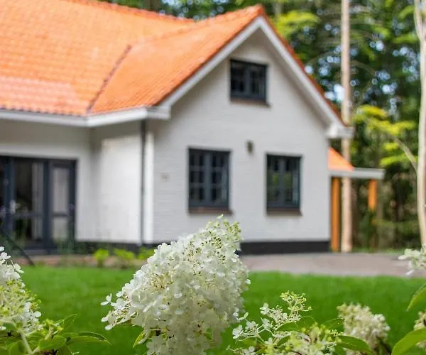 Apartamento Woudstee *