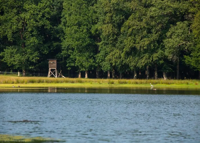 Woudstee Apartamento