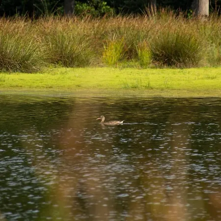 Woudstee Lejlighed Vierhouten